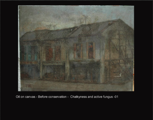 Oil on canvas - After conservation -  Treantment for chalkyness and active fungus  -01
